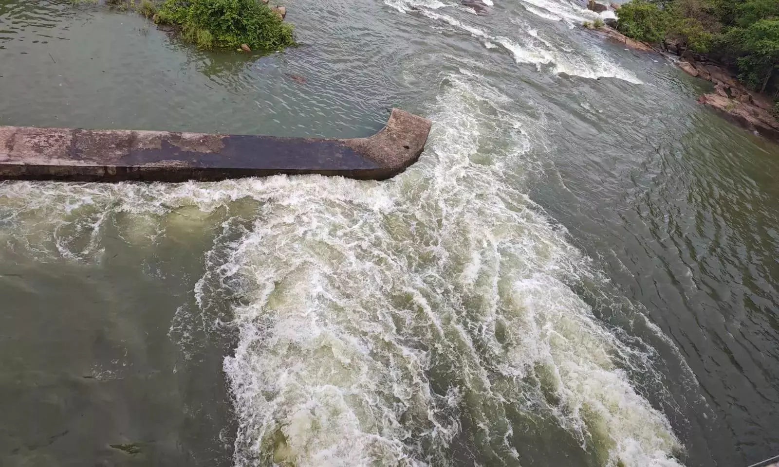 Osmansagar Gates Opened