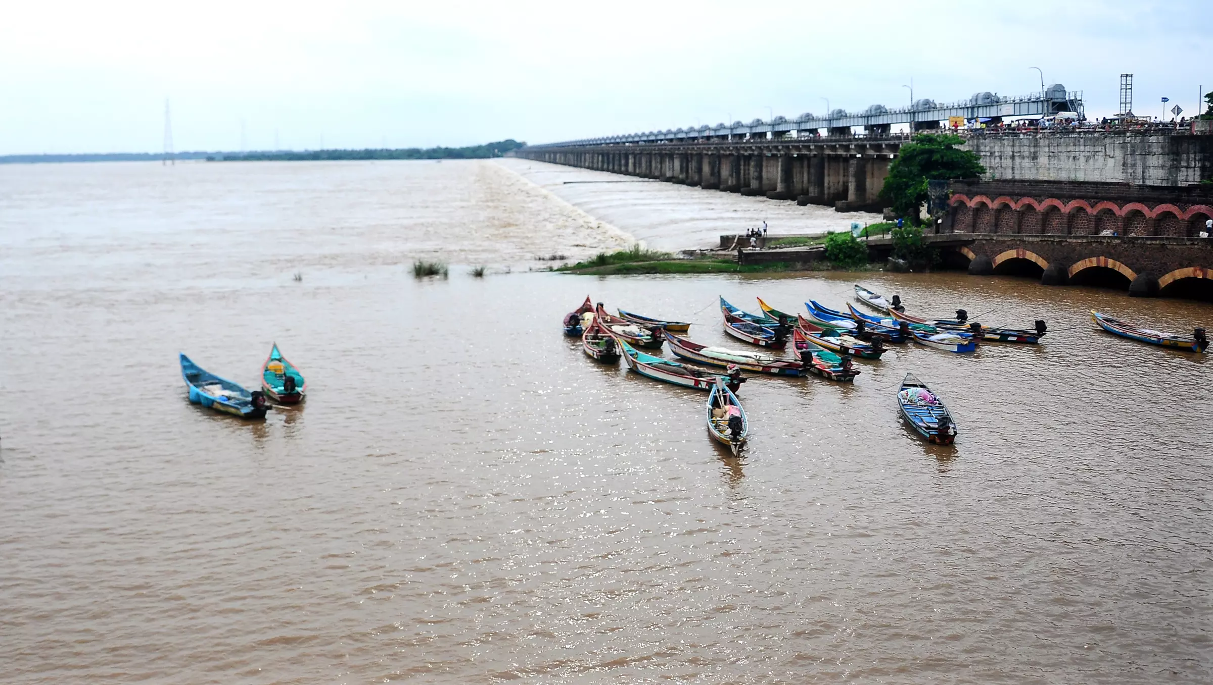 Heavy Rains, Floods in AP Inundate Crops Over 42,000 Hectares Heavy Rains, Floods in AP Inundate Crops Over 42,000 Hectares
