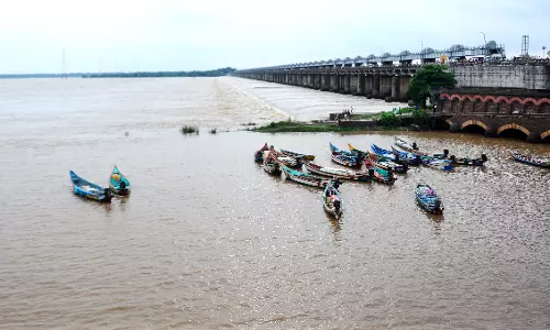 Heavy Rains, Floods in AP Inundate Crops Over 42,000 Hectares
