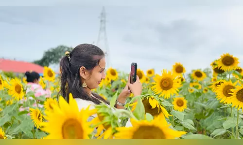 Kerala Tourism Organises Onam Special Bus to Flower Fields of Karnataka