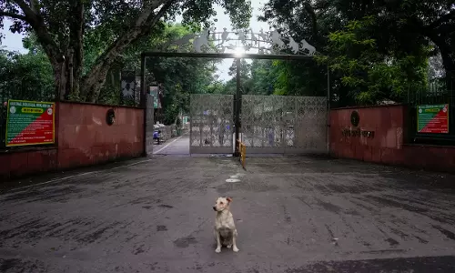 Delhi Zoo Shut After Bird Flu Cases