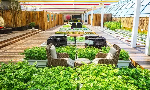 Greening One Terrace At A Time