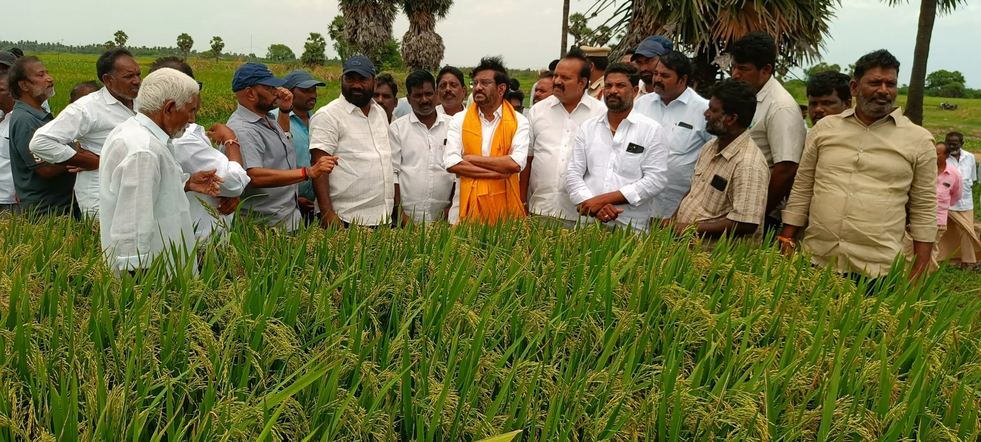 Abundant Water In Somasila, Kandaleru Set To Irrigate 7 Lakh Acres: Somireddy