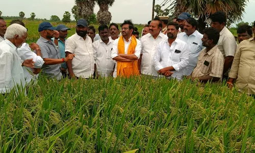 Abundant Water In Somasila, Kandaleru Set To Irrigate 7 Lakh Acres: Somireddy