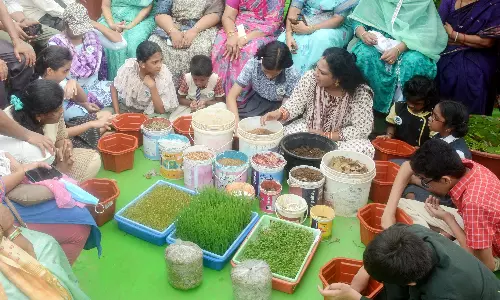 Children Discover Joy of Gardening in Rooftop Classrooms