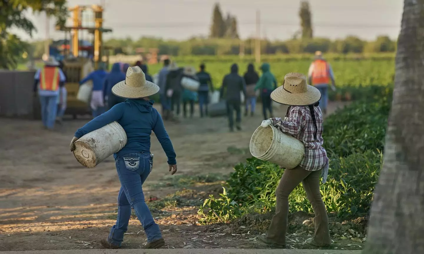 1.2M Immigrants Gone from US Labor Force Under Trump