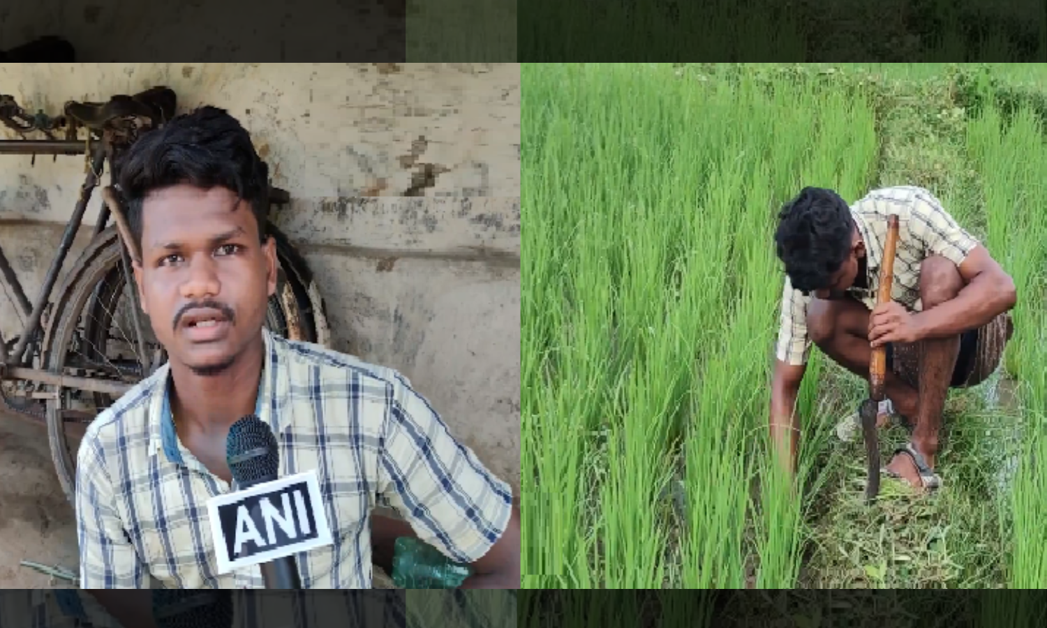 Odisha Tribal Youth Overcomes Challenges, Cracks NEET-UG Exam