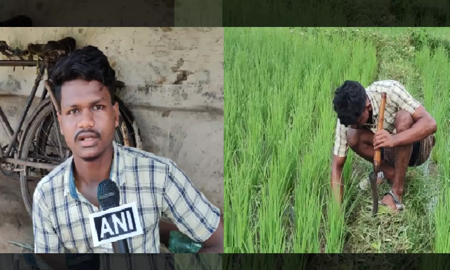 Odisha Tribal Youth Who Worked as Labourer in Bengaluru Cracks NEET-UG