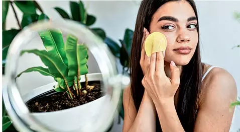 Repair Your Skin Barrier