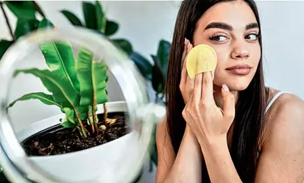 Repair Your Skin Barrier