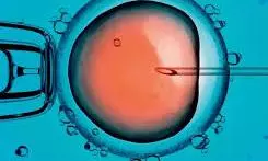 DMHO Mandates Registration Of Fertility Centres