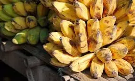 AP To Export 1.5 Lakh Tonnes Of Green Bananas To Middle East