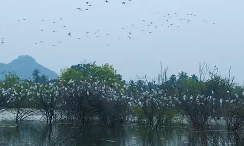 Elathur, TN’s 3rd Biodiversity Heritage Site