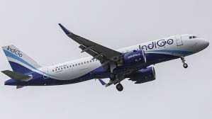 Drunk Passenger Disrupts IndiGo Flight with Religious Slogans