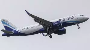 Kolkata-bound IndiGo Flight Returns To Nagpur After Bird Strike Kolkata-bound IndiGo Flight Returns To Nagpur After Bird Strike