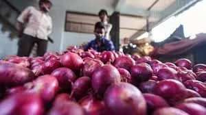 Markfed Purchases 4,817 Quintals Of Onions: Official