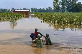 30 Lives Lost Due To Floods In Punjab; Governor, CM Visit Affected Areas
