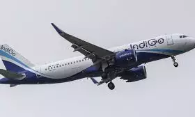 Kolkata-bound IndiGo Flight Returns To Nagpur After Bird Strike