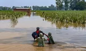 30 Lives Lost Due To Floods In Punjab; Governor, CM Visit Affected Areas