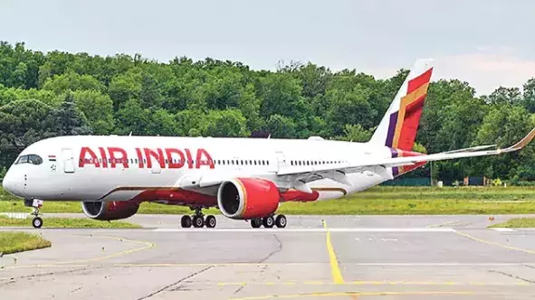 Air India Colombo-Chennai Flight Grounded After Bird Strike