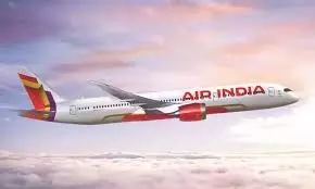 Air India Aborts Flight After Bird Hit At Vijayawada Airport