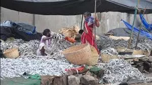 AP Aquaculture Farmers Call On Centre To Exempt Seafood From GST AP Aquaculture Farmers Call On Centre To Exempt Seafood From GST