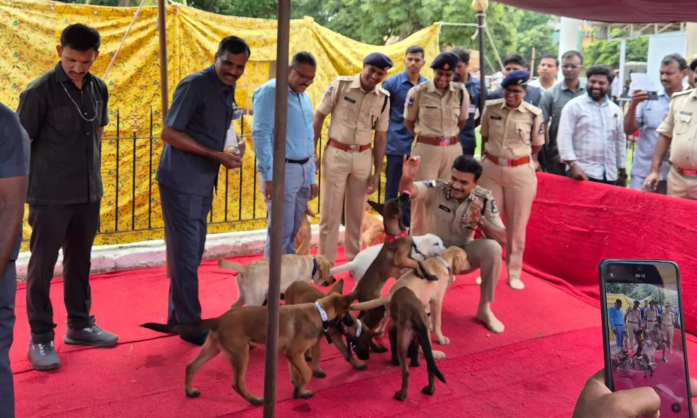 Mounted Women Police Deployed For Ganesh Immersion Duty