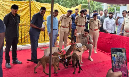 Mounted Women Police Deployed For Ganesh Immersion Duty