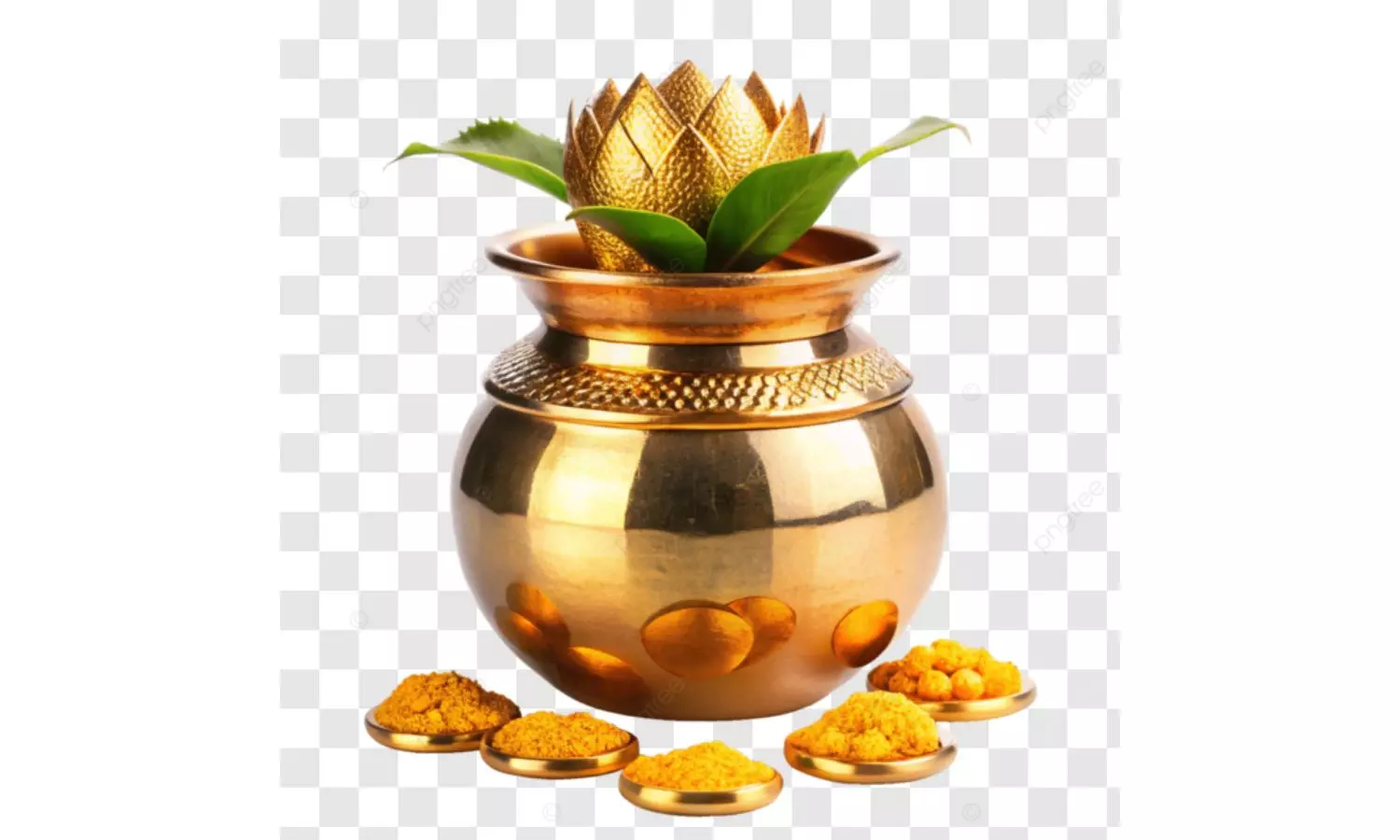 Kalash Worth Rs 1 Crore Stolen From Religious Ceremony In Delhi