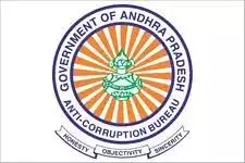 ACB Court Grants Bail To Three Accused In AP Liquor Scam Case