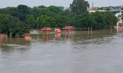 Delhi: Yamuna Continues to Flow Above Danger Mark