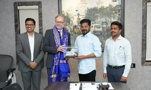 Denmark Ambassador Calls on Revanth Reddy; Discusses Cooperation in Education, Green Energy