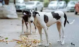 JUST SPAMMING | Making A Joke Of A Serious Issue Through Debate