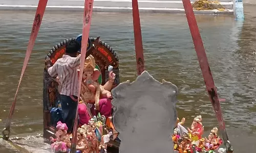 Artificial Ponds Ease Immersion Rush