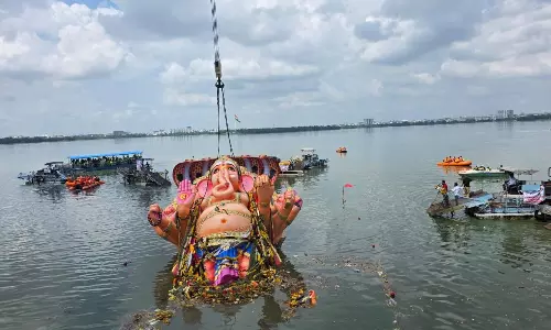 Silent Giants Power Ganesh Immersions