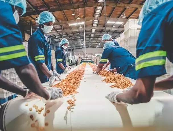 India’s Food Processing Sector Set to Hit USD 535 Bn by 2026