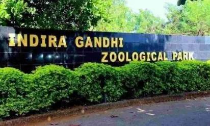 Vizag Zoo Celebrates Multiple Animal Births