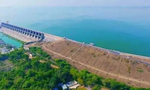 Major Projects Brim With Water, Farmers In Karimnagar Rejoice