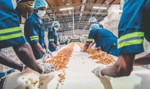 India’s Food Processing Sector Set to Hit USD 535 Bn by 2026