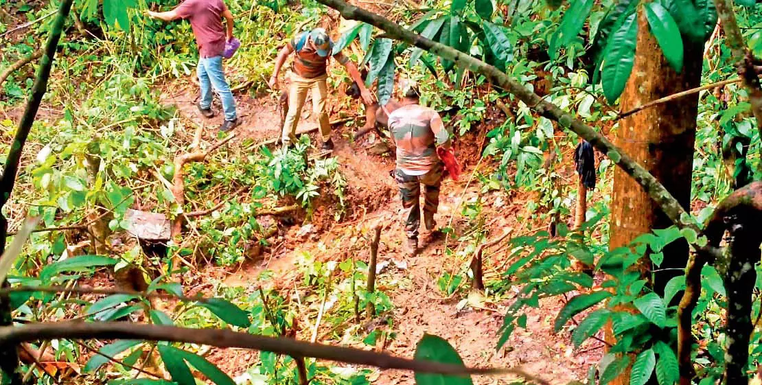 Dharmasthala Case: Human Skeletal Remains Found During Spot Inspection