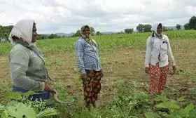 Land Resurvey Sparks Farmer Outcry In Villages Land Resurvey Sparks Farmer Outcry In Villages