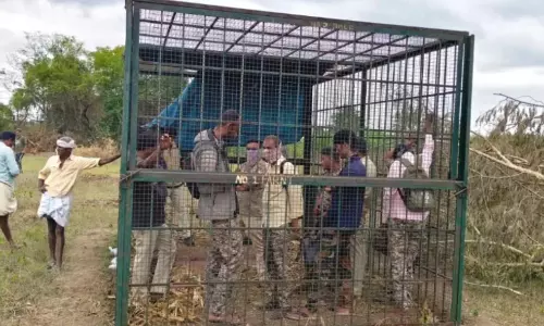 Villagers In Karnataka Lock Forest Officials In Cage Over Tiger Issue