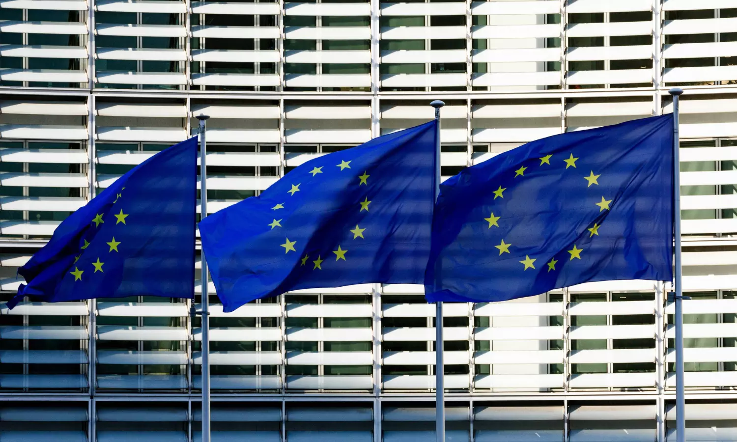 EU Chief Calls for Sanctions, Partial Trade Halt on Israel Over Gaza War