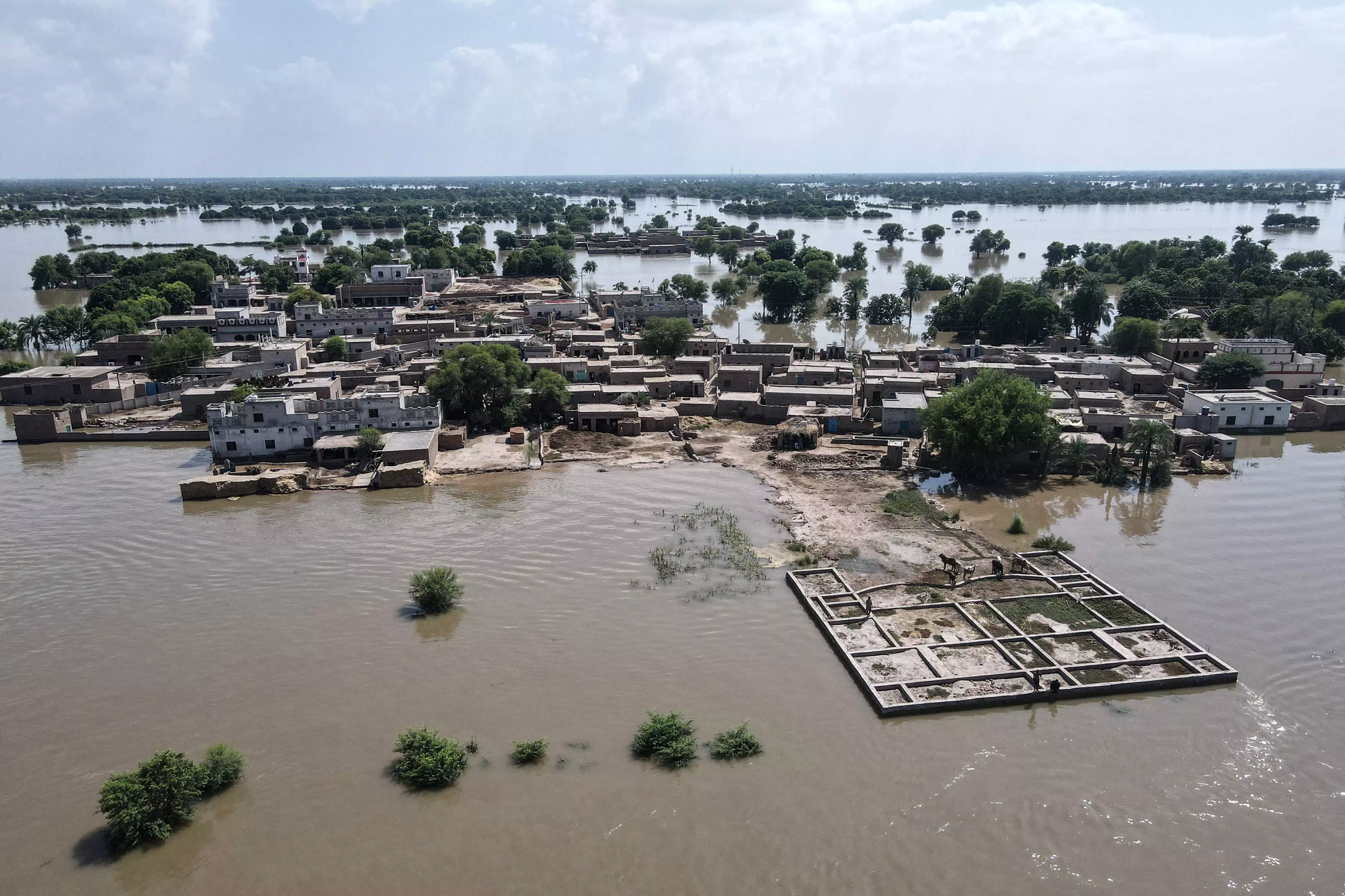 Punjab Kings Joins Hands with Ketto, Global Sikh Charity for Urgent Flood Relief Campaign