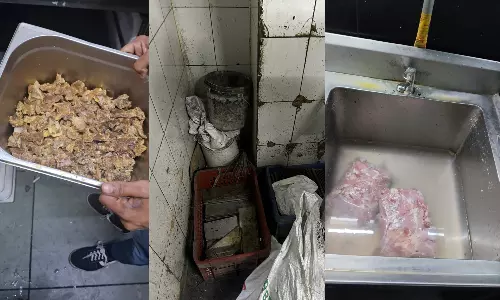 From Rotten Fruits to Pest Infestation: Absolute Barbeque Outlets Under Food Safety Scanner