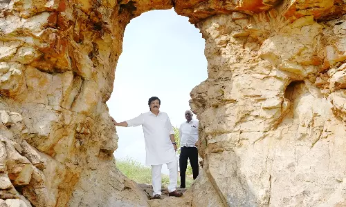 Orvakal Rock Gardens to Be Developed: Tourism Minister