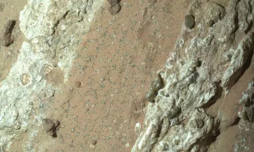 NASA Mars Rover Provide Strongest Hints Yet of Potential Signs of Ancient Life