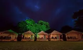 Homestays To Showcase ‘Made In Araku’ Products