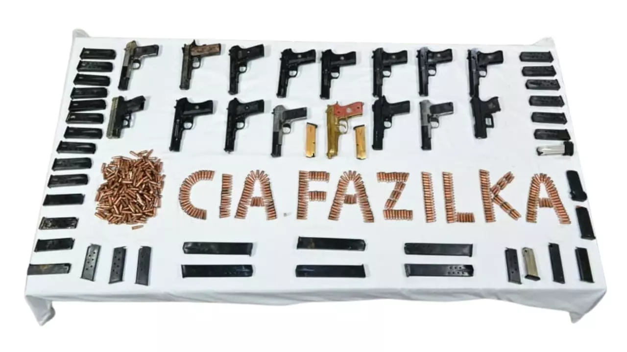 Punjab: Cross-Border Weapon Smuggling Module Busted, Two Held