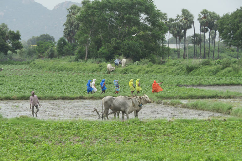 Deccan Chronicle - Other - News Image